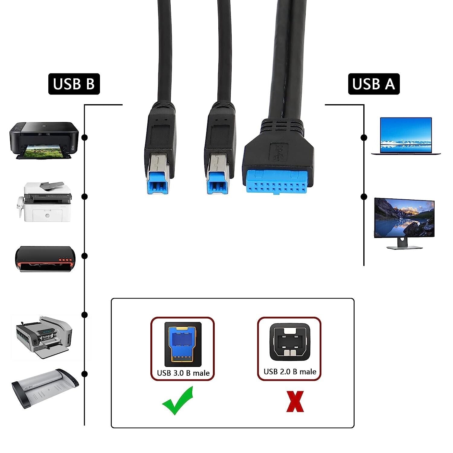 USB 3.0 19 Pin Female to Dual USB Type B Male Printer Splitter Cable